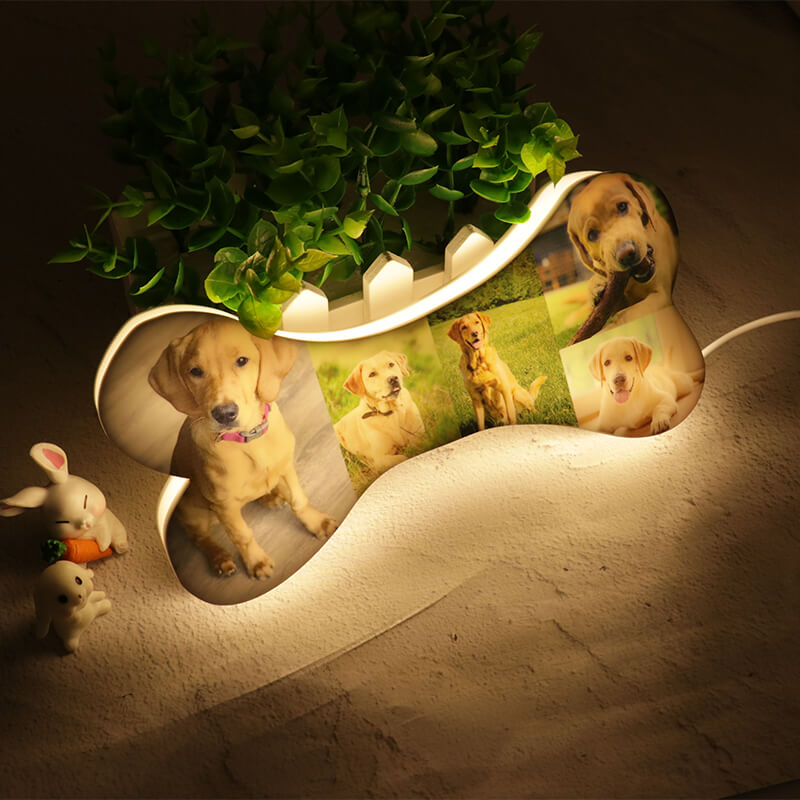 Lampe photo personnalisée en os d'animal de compagnie