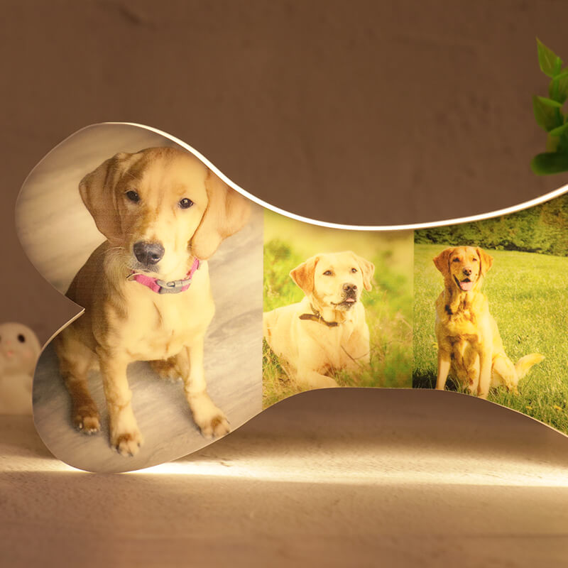 Lampe photo personnalisée en os d'animal de compagnie