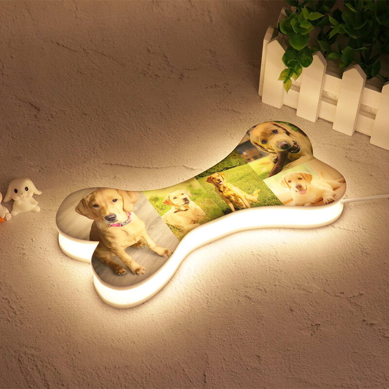 Lampe photo personnalisée en os d'animal de compagnie